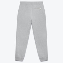 Load image into Gallery viewer, Fatigue Sweatpants - Grey